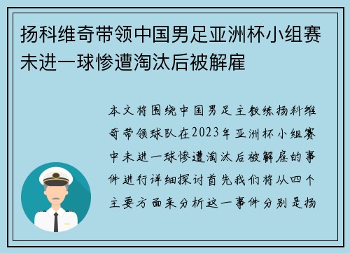 扬科维奇带领中国男足亚洲杯小组赛未进一球惨遭淘汰后被解雇